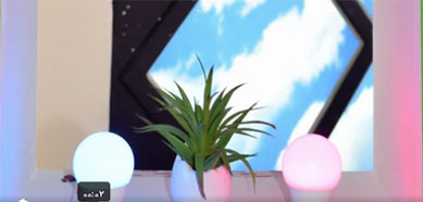 محصولات LED پارس شهاب